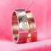 Rose Gold & Silver Titanium Steel Promise Rings for Couples